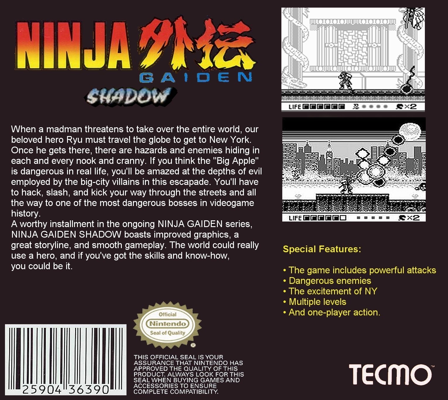 ninja gaiden shadow stage 3