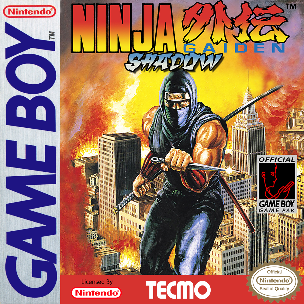 video game Ninja Gaiden Shadow Image
