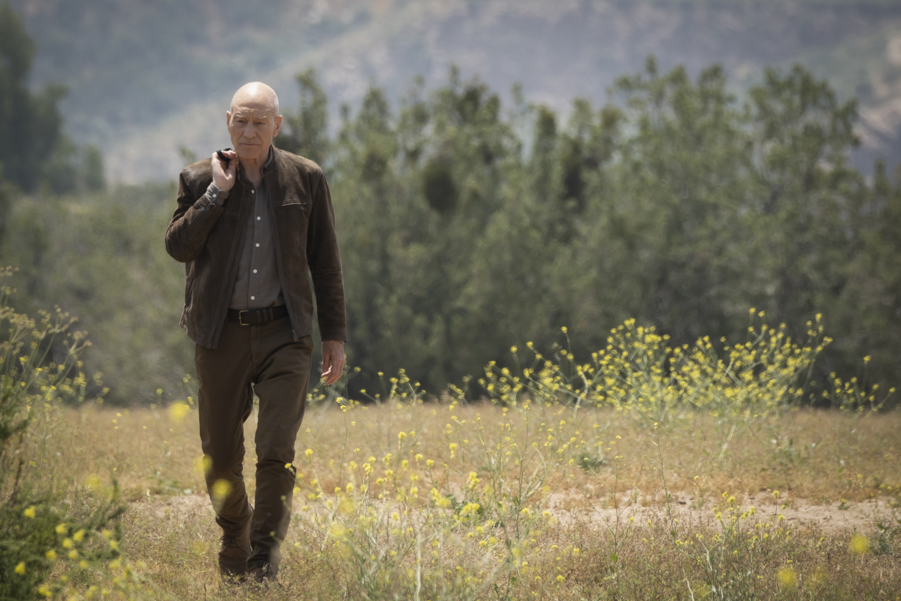 Star Trek: Picard Picture