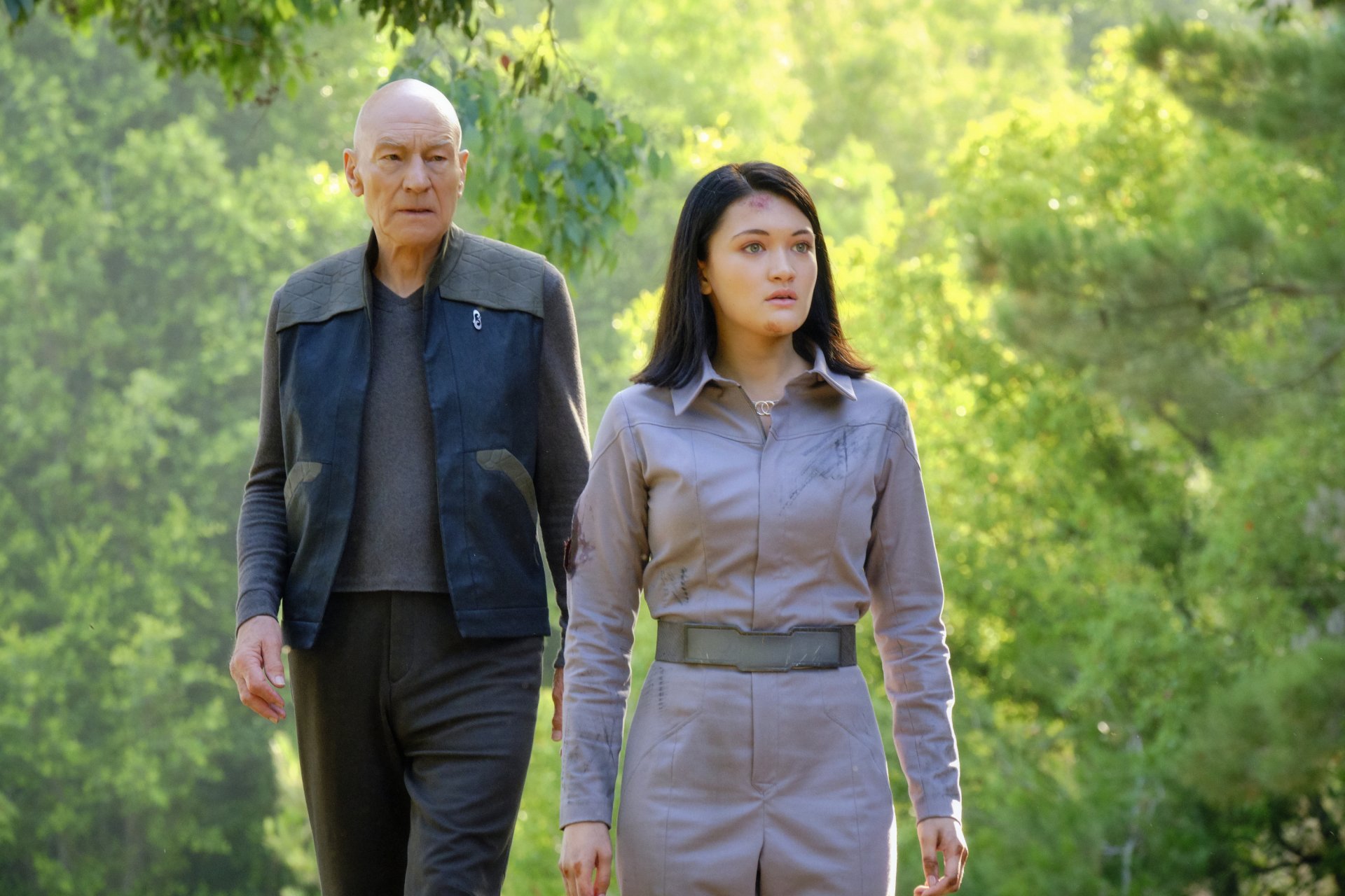 Jean-Luc Picard Patrick Stewart TV Show Star Trek: Picard Image