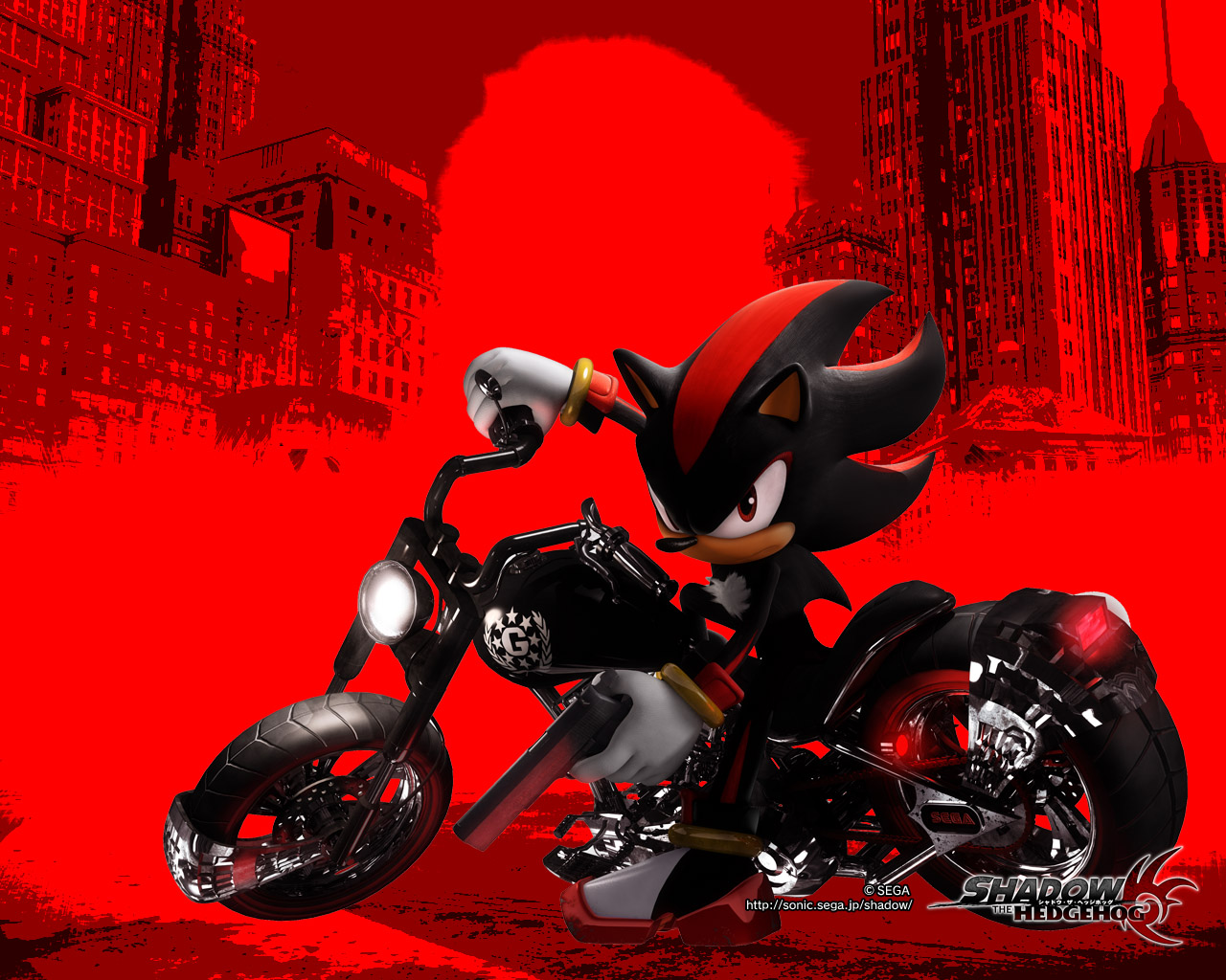 Shadow the Hedgehog Picture