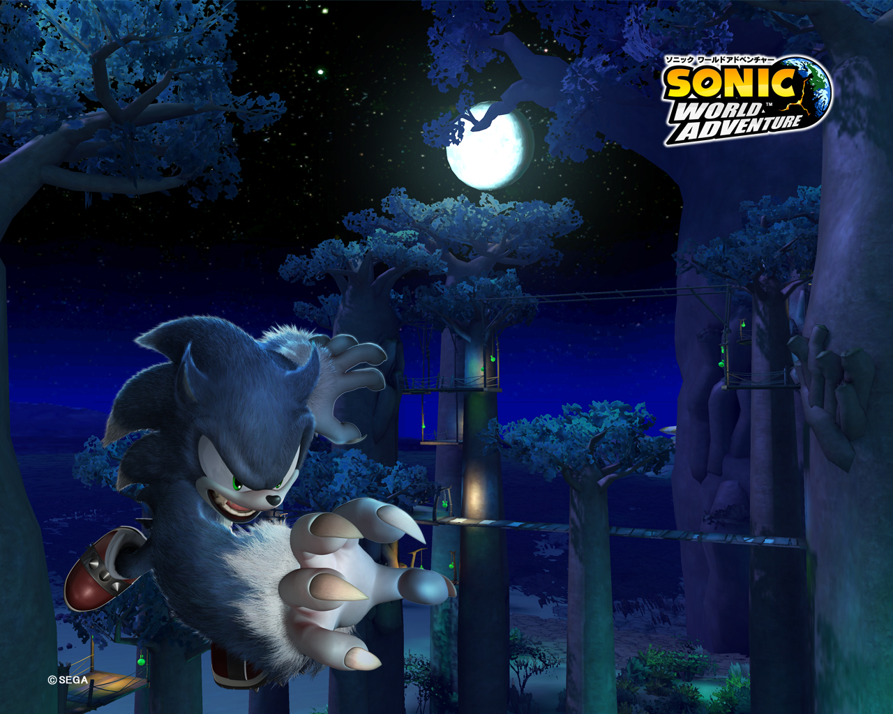 Sonic Unleashed, released as Sonic World Adventure in Japan in 2008