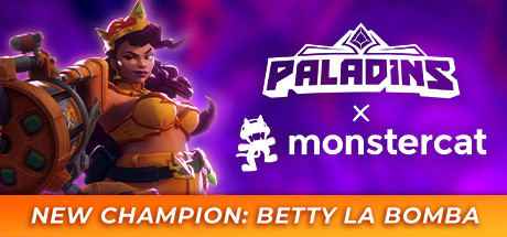 Paladins Picture