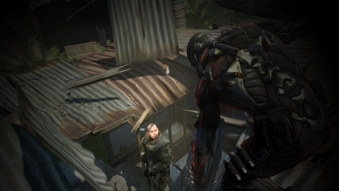 A scene from the video game Crysis 2 showing a character aiming a weapon while overlooking another character standing below.