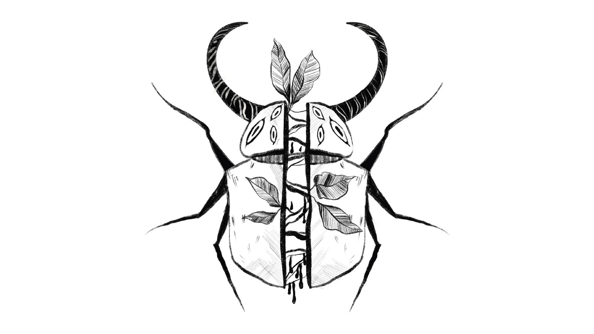  Kodai Shell