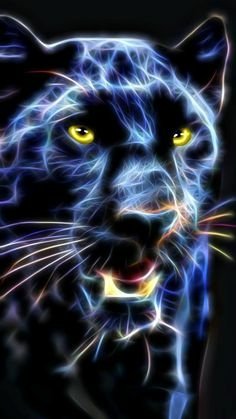 fantasy Animal Fantasy Animal Image