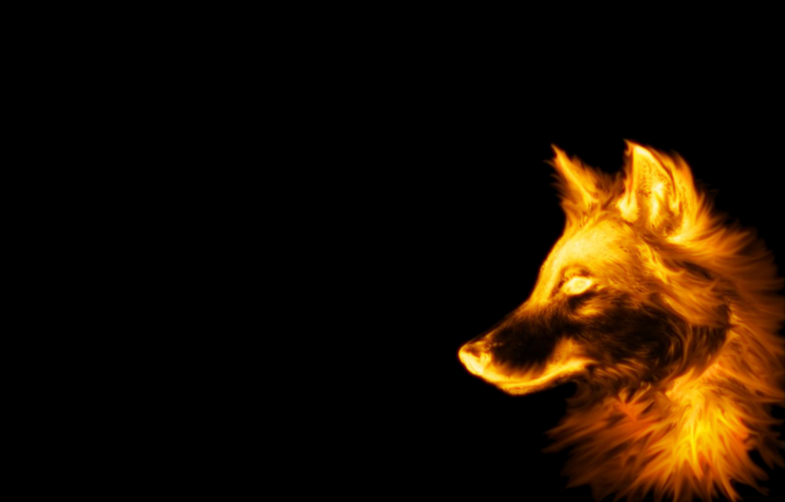 A glowing wolf's head is depicted against a dark background, showcasing its striking features and intense gaze. The fur appears luminous, emphasizing the animal's wild beauty.