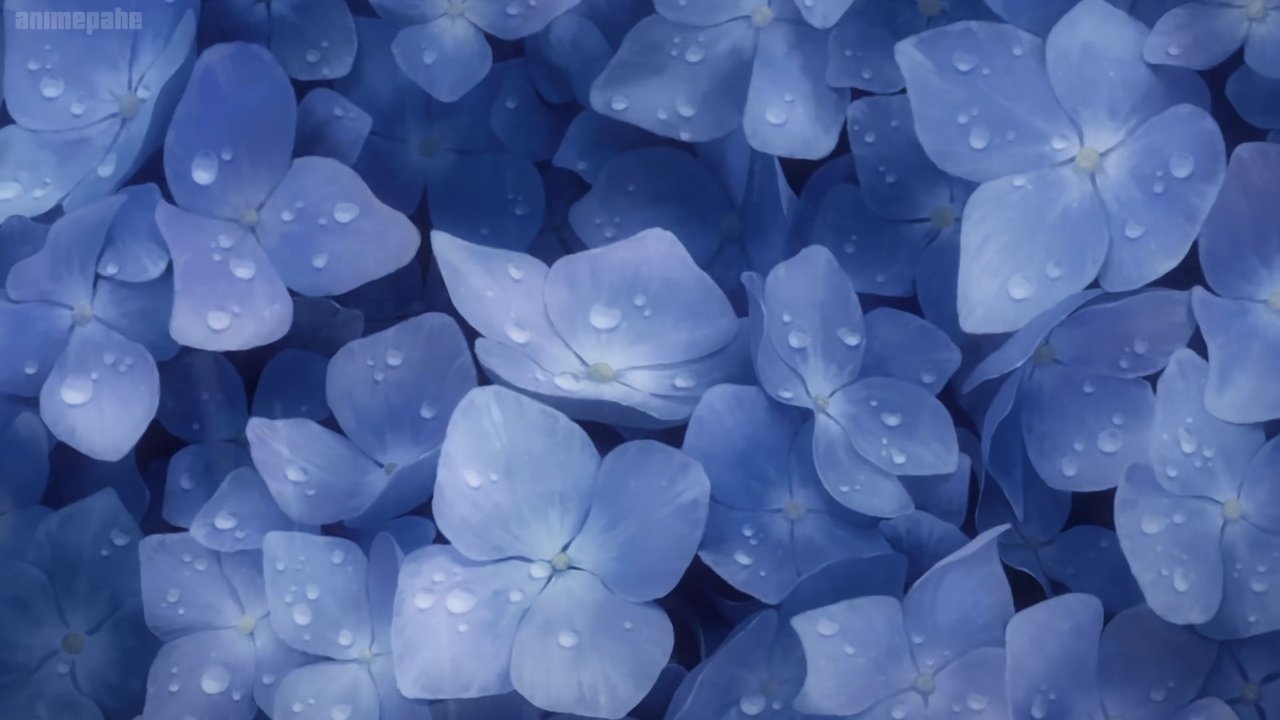  Sumire Flower