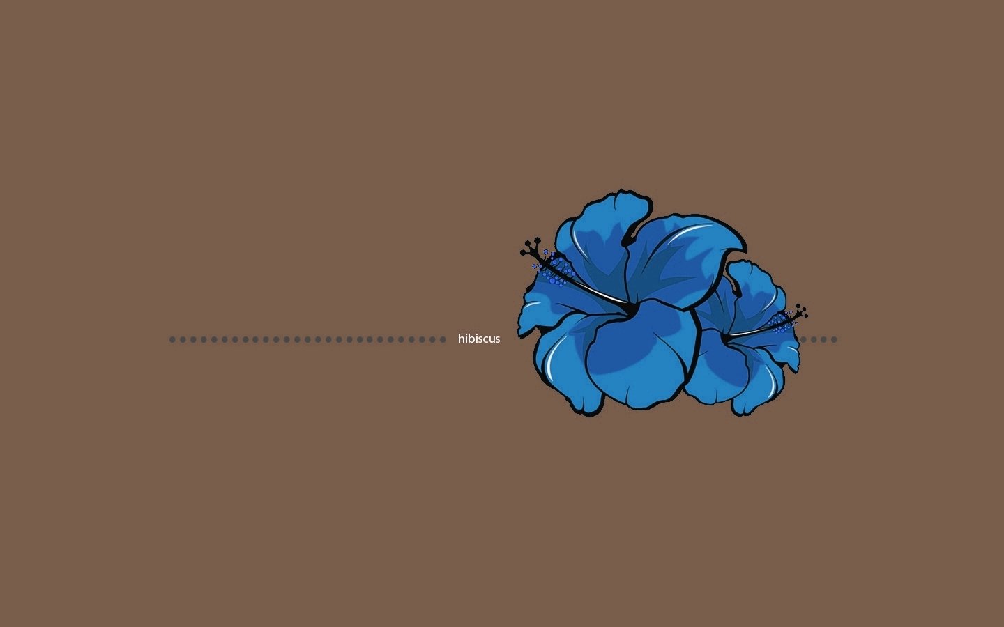 hibiscus artistic flower Image