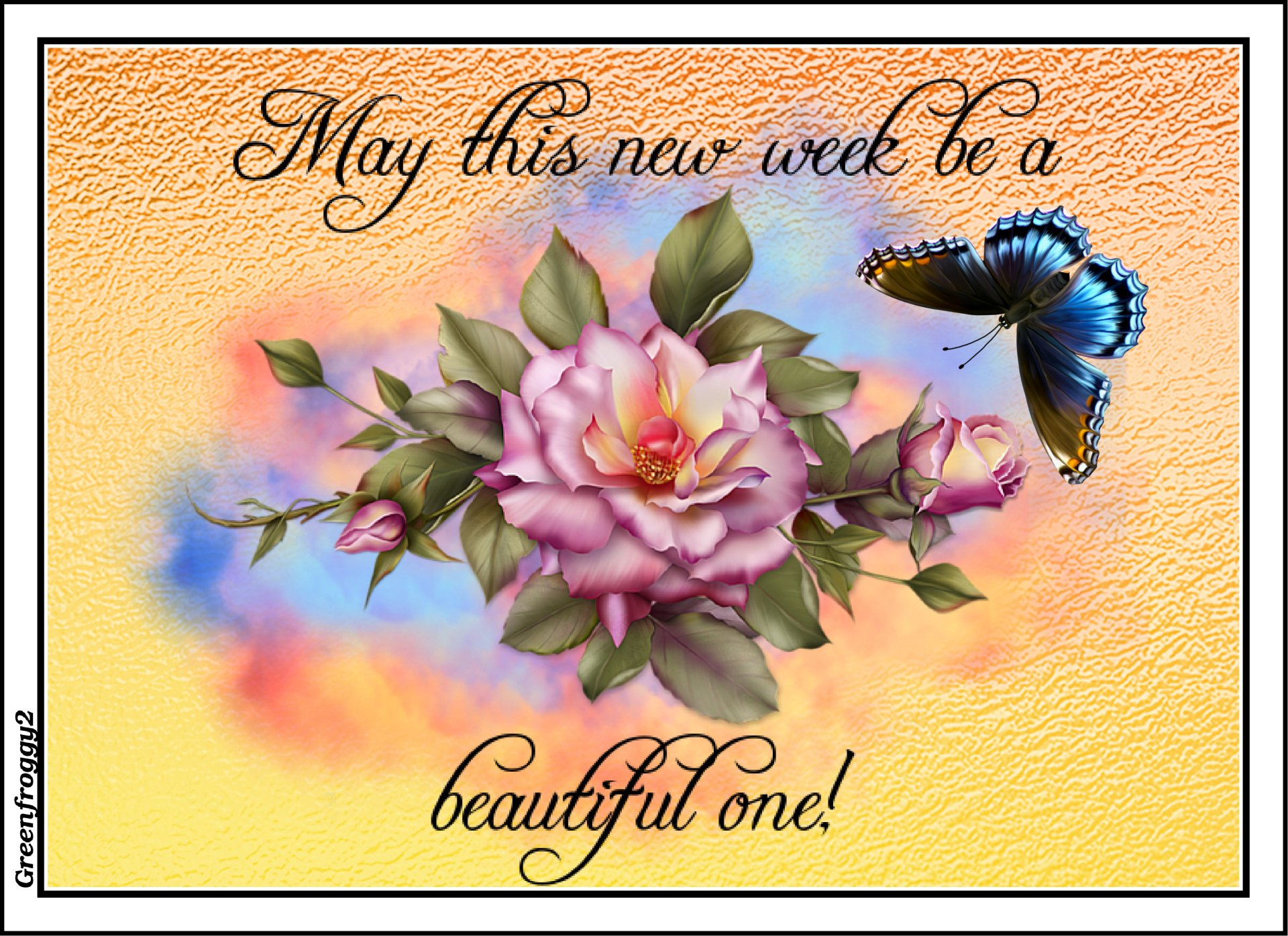 Greeting card (Misc,comment): pink rose and blue butterfly on a pastel background, scripted message May this new week be a beautiful one!
