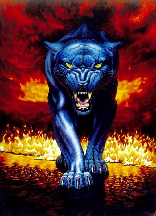 fantasy Animal Fantasy Animal Image