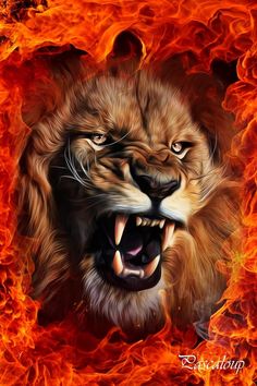 Fantasy Lion Picture