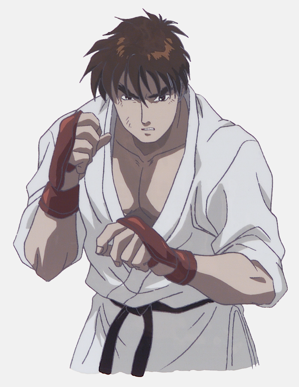 Street Fighter (Anime) | Japanese Anime Wiki | Fandom