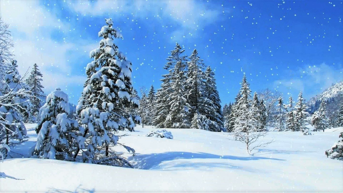  Snowing in Winter Forest by AzDude