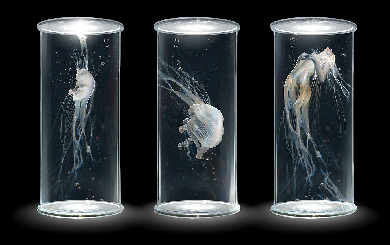 Three glass tubes contain ethereal jellyfish-like creatures, each uniquely shaped and glowing, set against a dark background, capturing a sense of fantasy and wonder.
