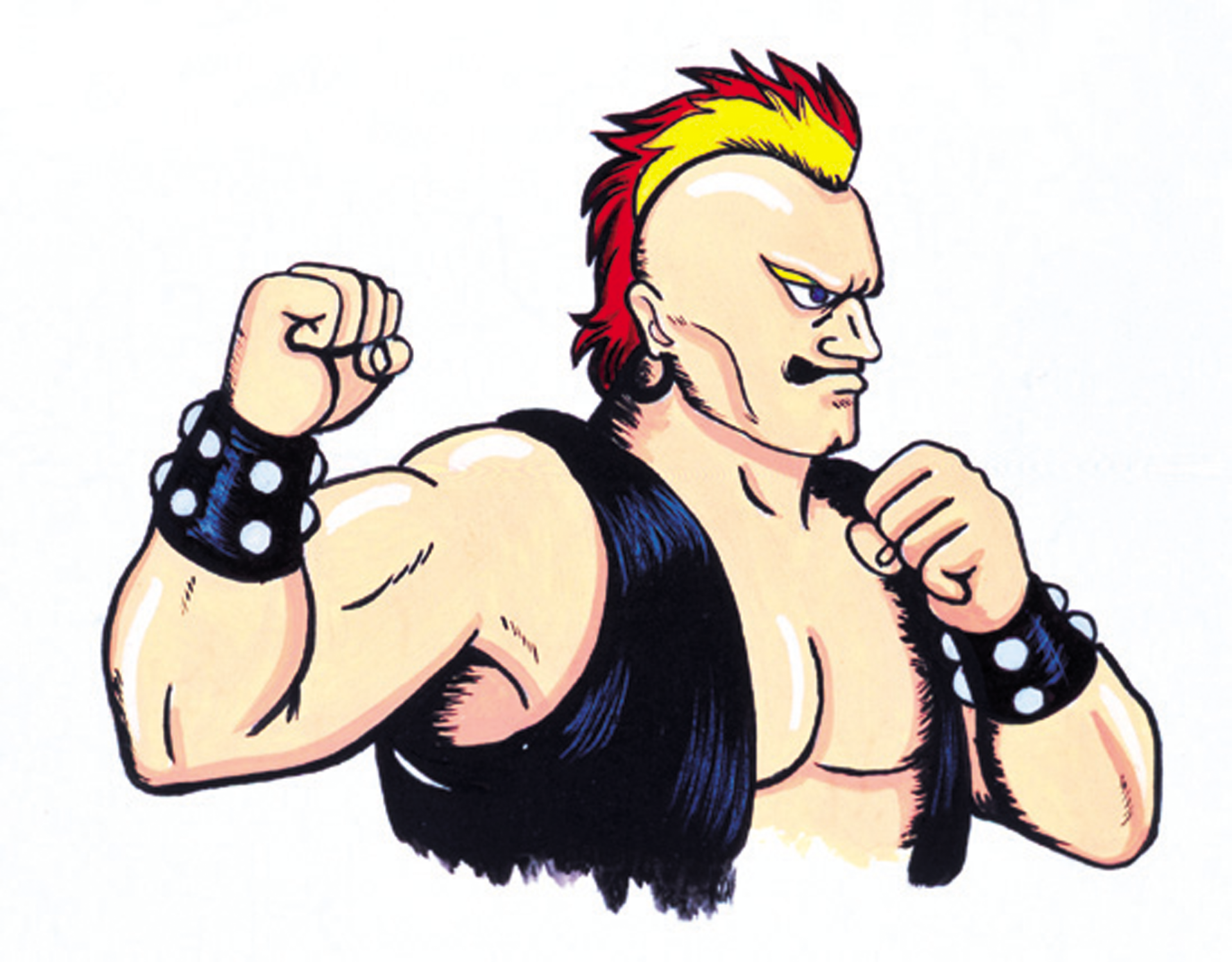 Birdie (Street FIghter) video game Street Fighter Image