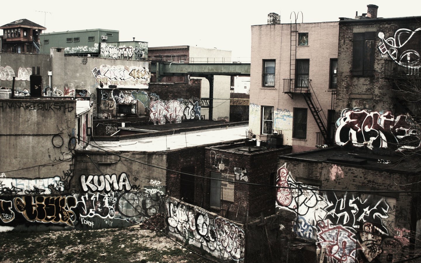 A detailed view of urban rooftops covered in vibrant graffiti, showcasing artistic expressions against a backdrop of weathered buildings and an industrial landscape.