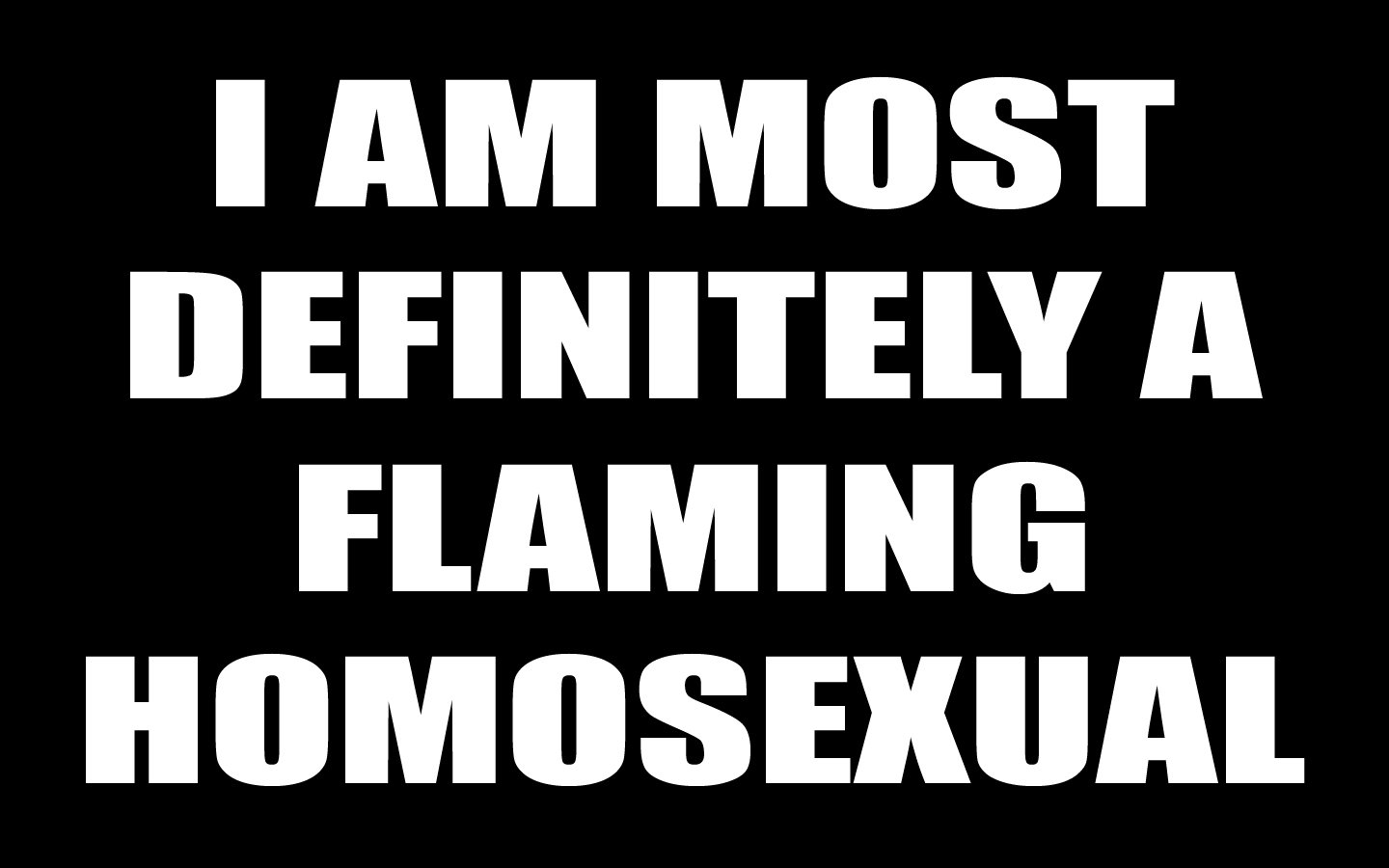 Bold text on a black background humorously declares, I AM MOST DEFINITELY A FLAMING HOMOSEXUAL, reflecting a confident and funny statement about identity.