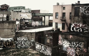 Preview Image 520482