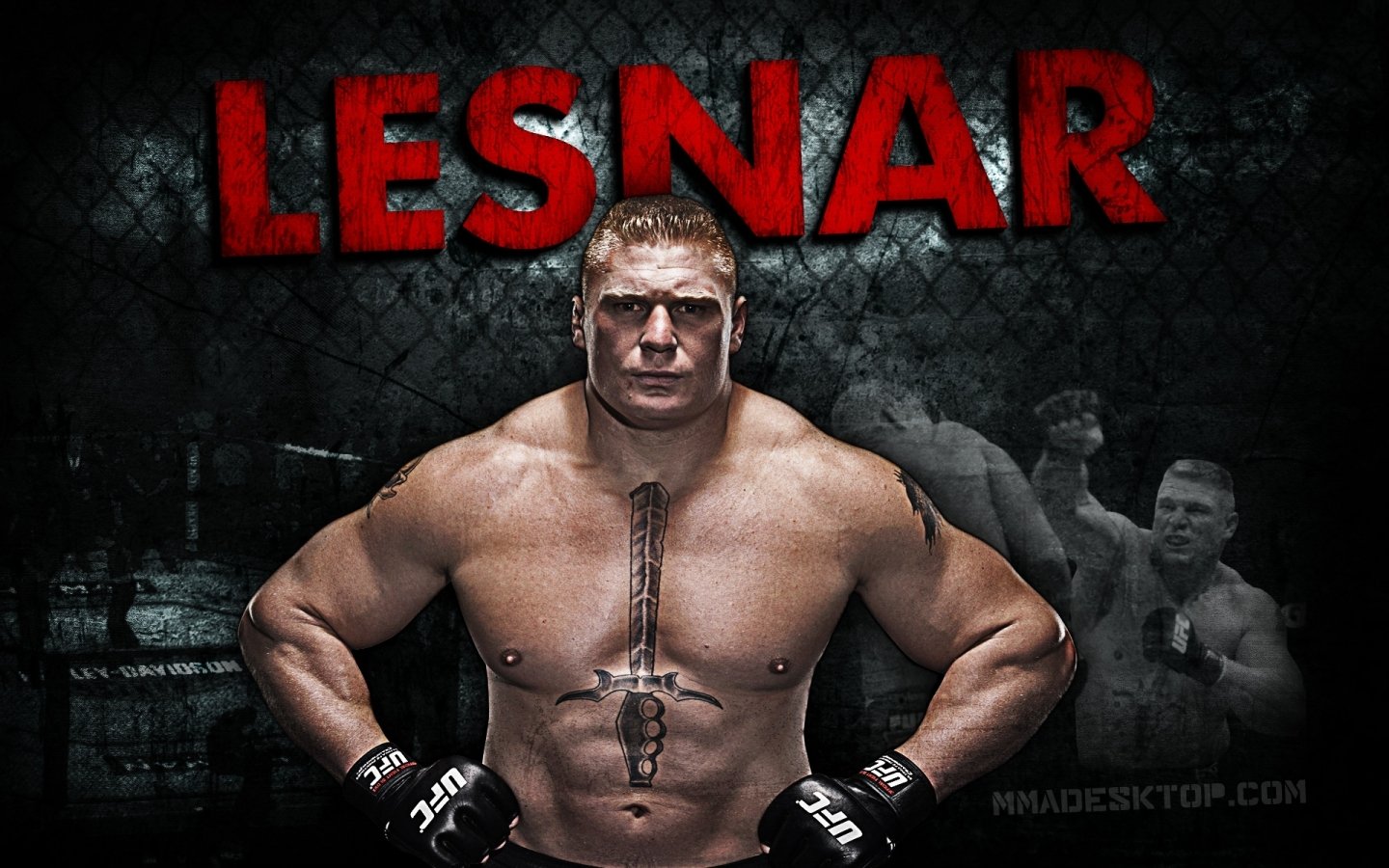 MMA mixed martial arts Sports Image