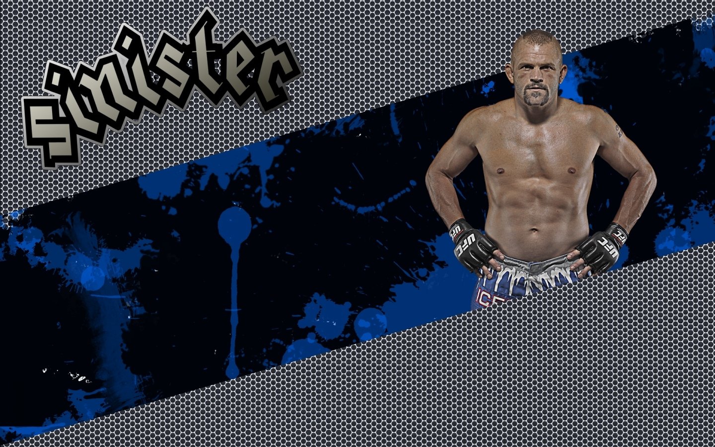 MMA mixed martial arts Sports Image