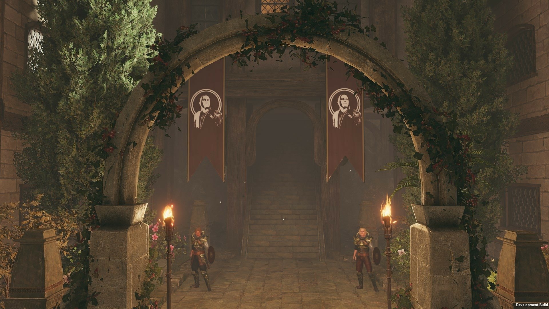 video game Solasta: Crown of the Magister Image