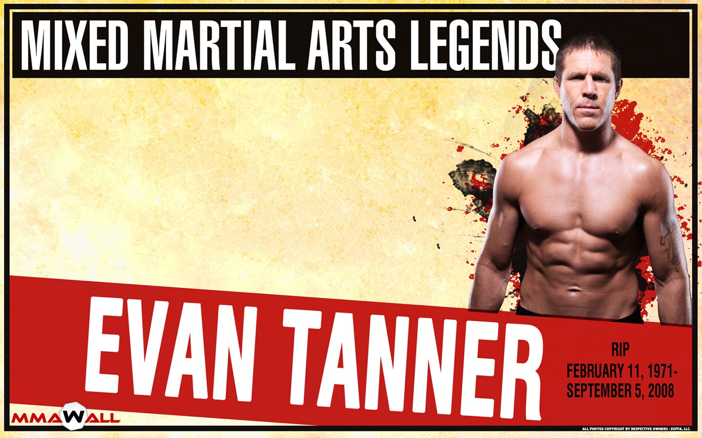 mixed martial arts Sports Image