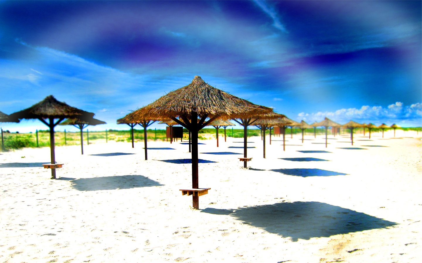 A sunlit beach scene featuring several thatched umbrellas casting shadows on the sandy shore, under a vibrant blue sky with wispy clouds.