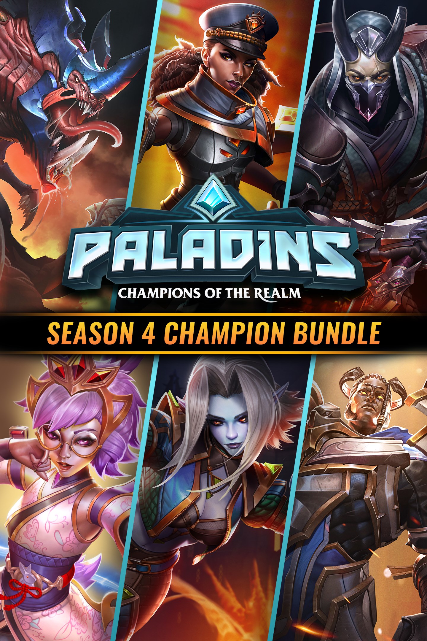 Paladins Picture