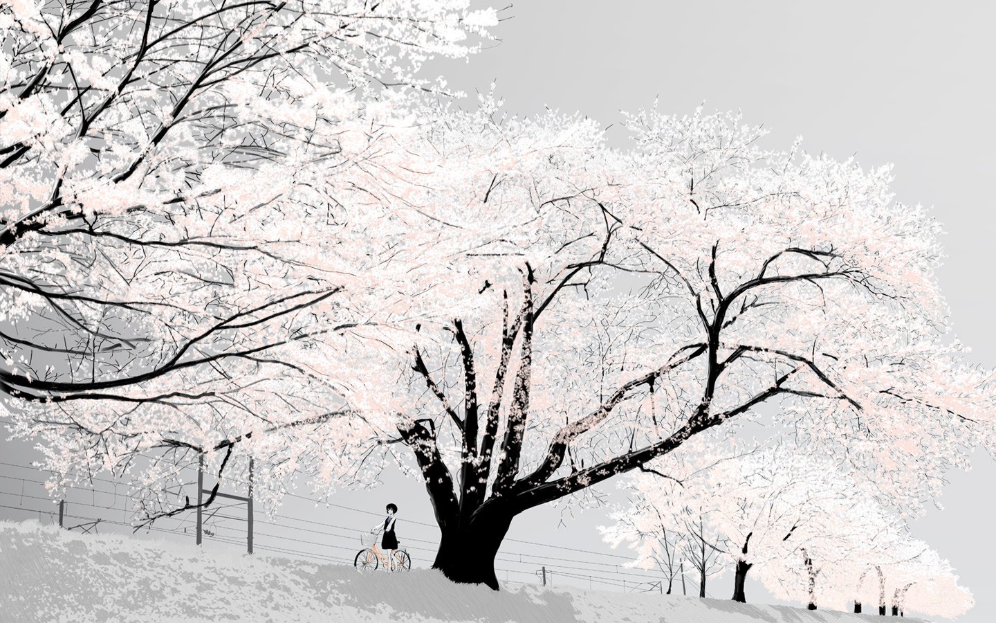 Anime winter winter anime Image
