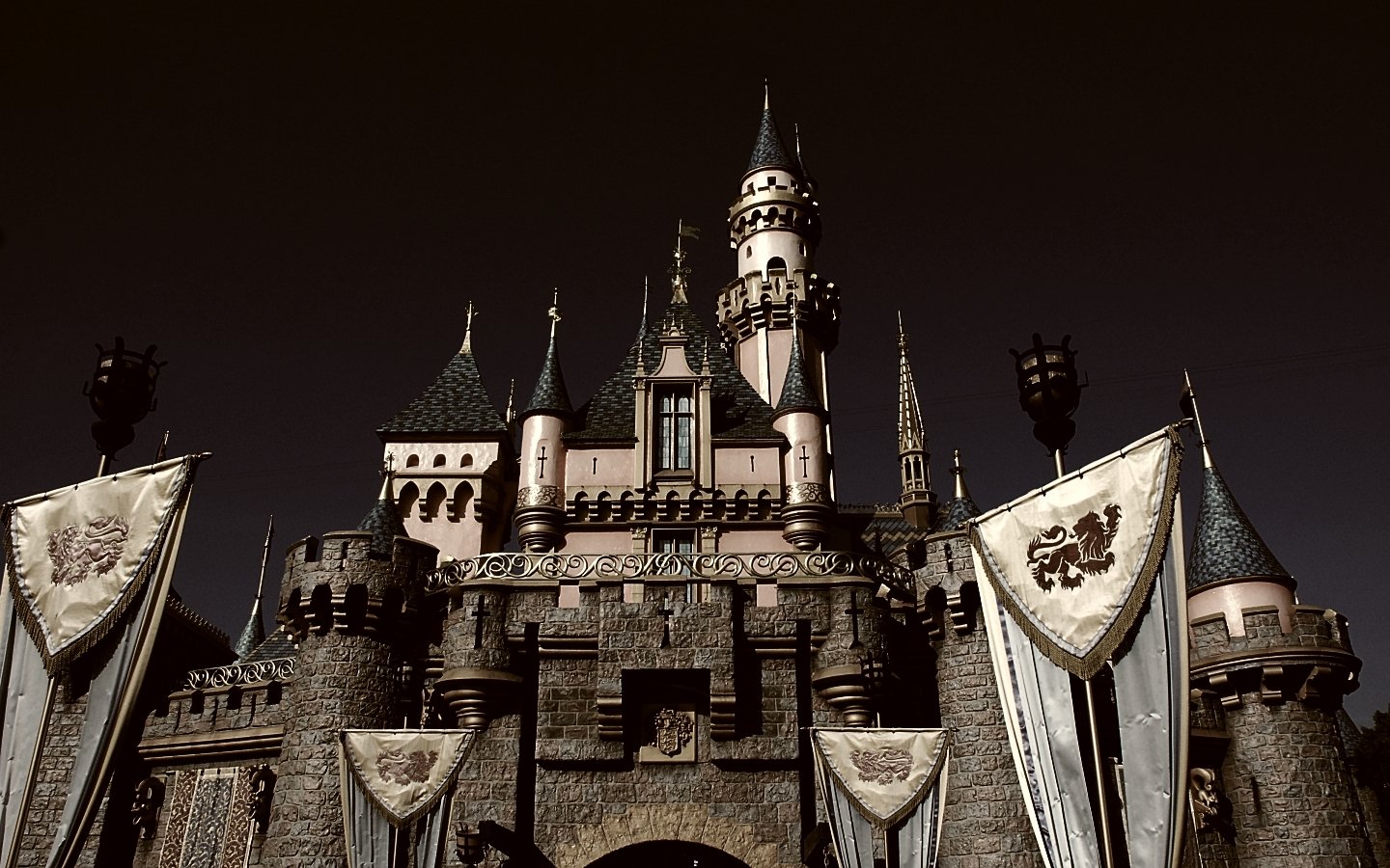  Disneyland Castle Anaheim, California