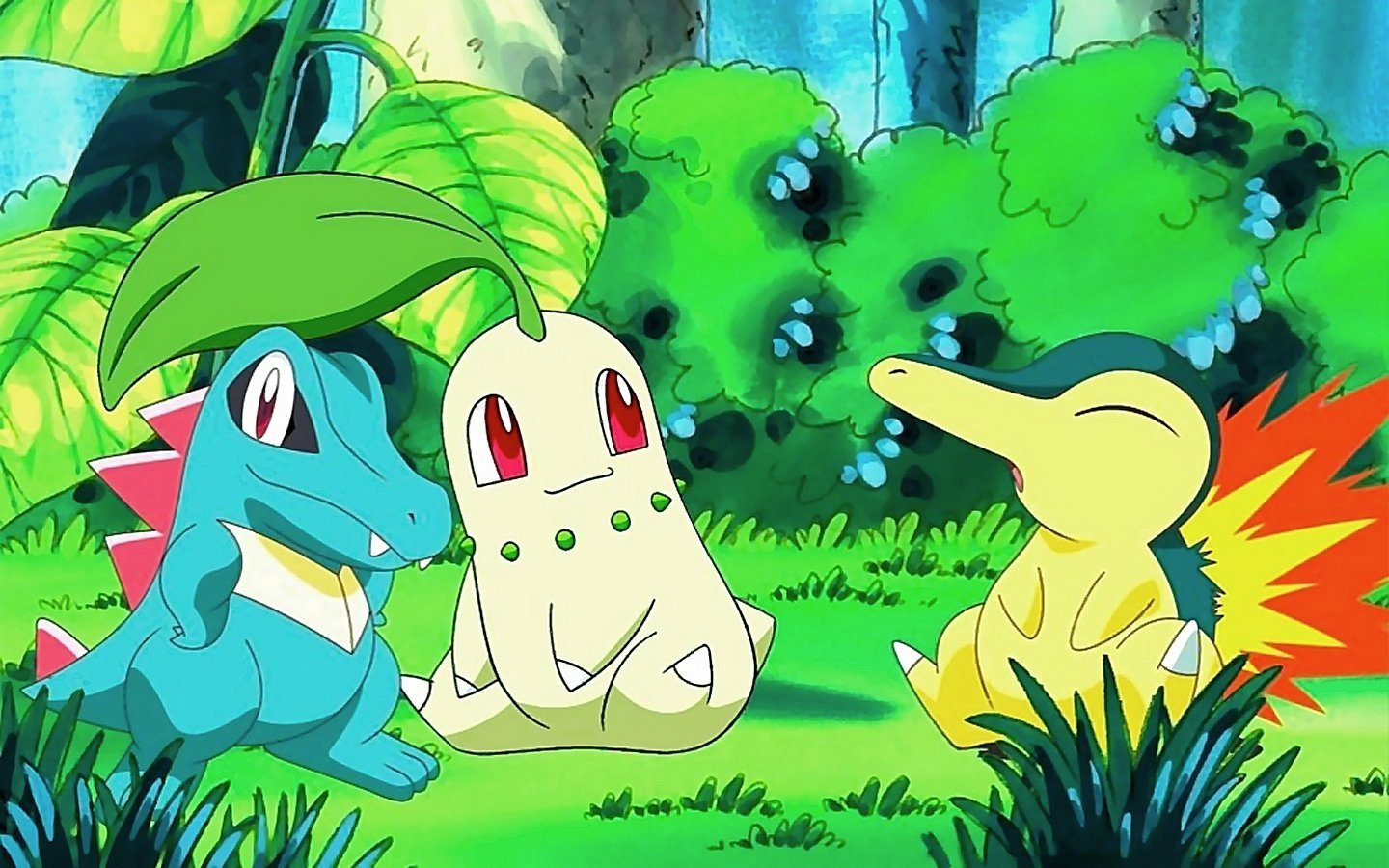 Cyndaquil (Pokémon) Chikorita (Pokémon) Totodile (Pokémon) Anime Pokémon Image