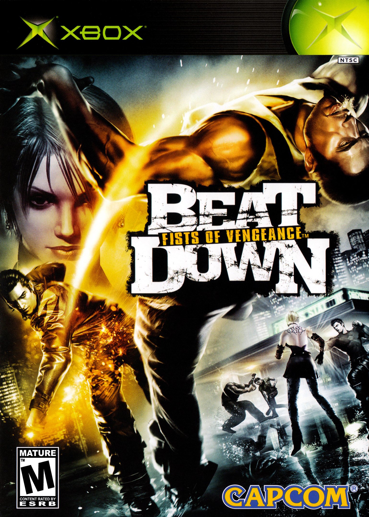 video game Beat Down: Fists of Vengeance Image