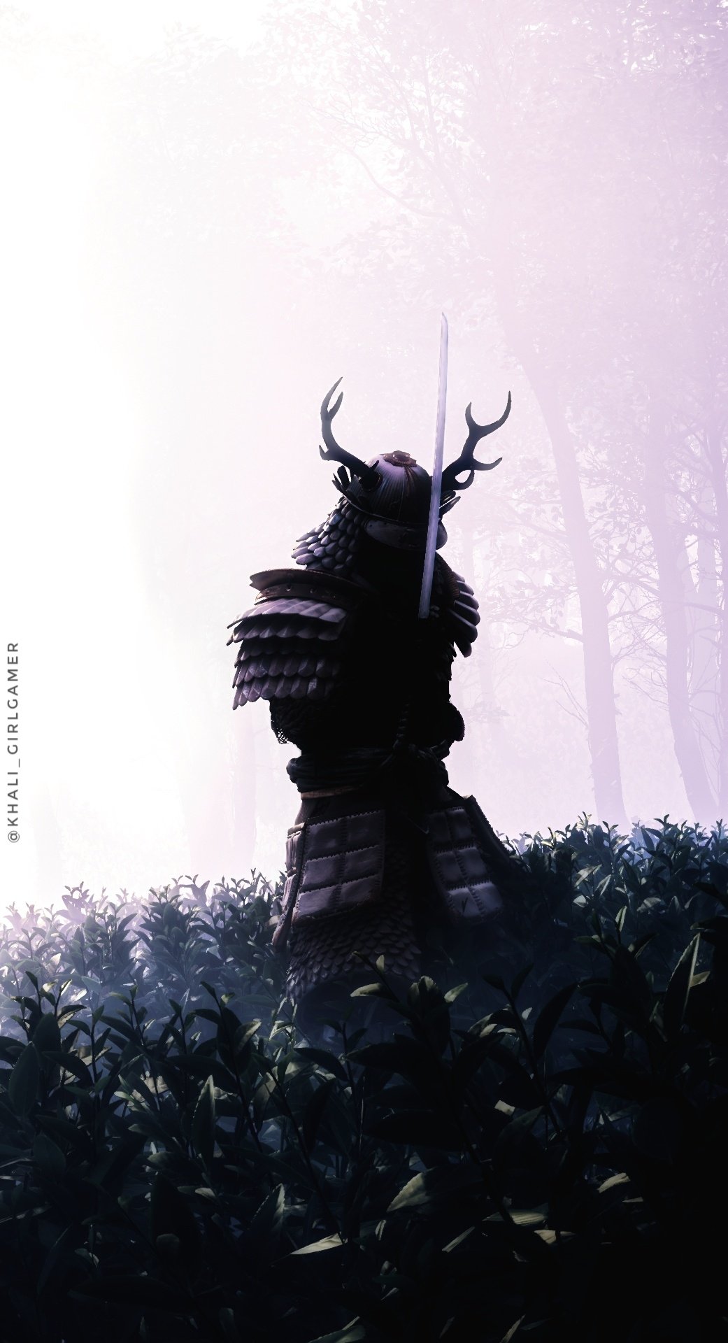 video game Ghost of Tsushima Image