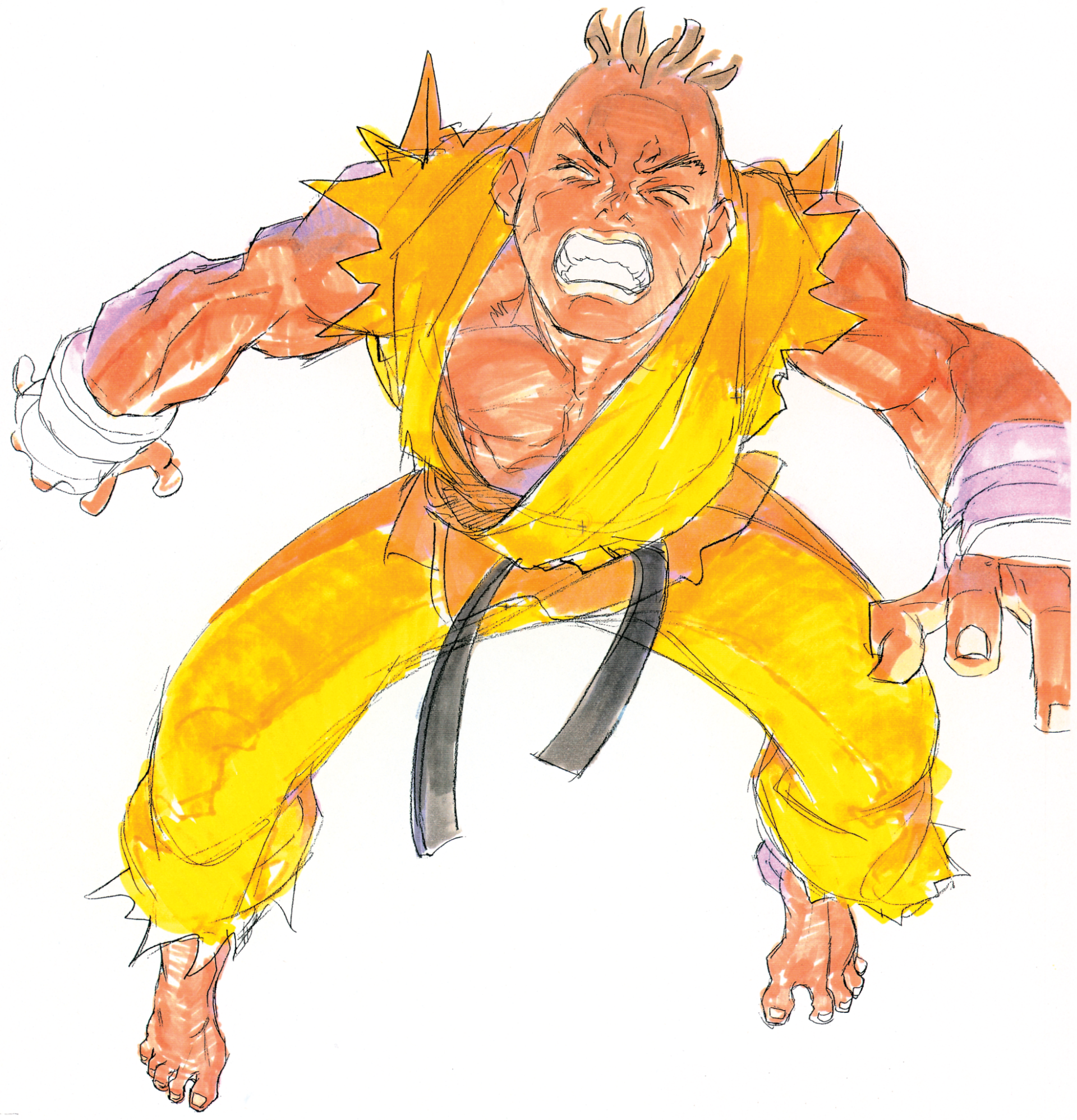 Sean (Street Fighter) video game Street Fighter III: New Generation Image