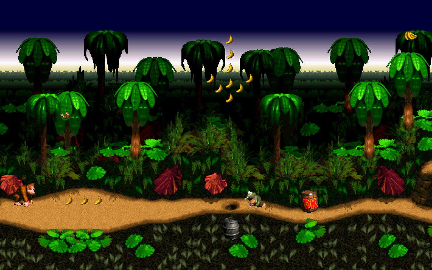 Donkey Kong Country Picture