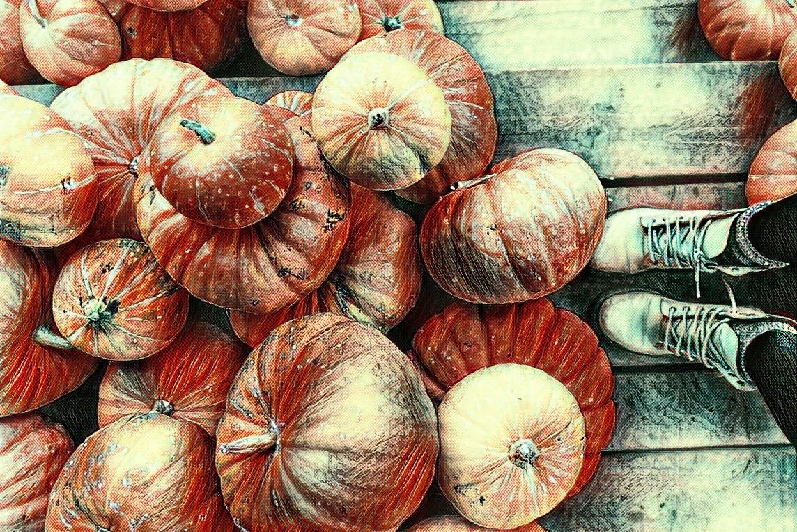 food pumpkin Image