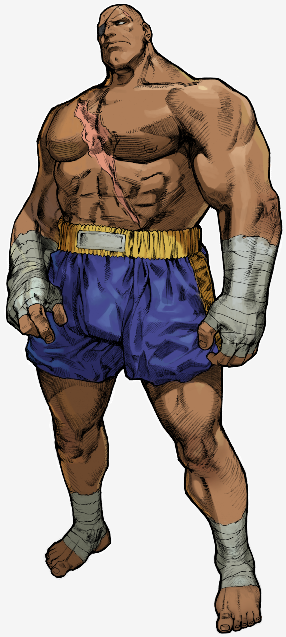 Street Fighter Alpha 3 Picture
