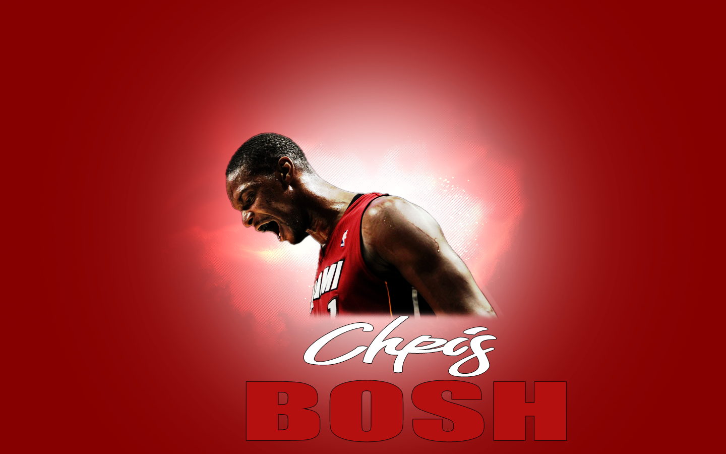 Miami Heat Sports Image