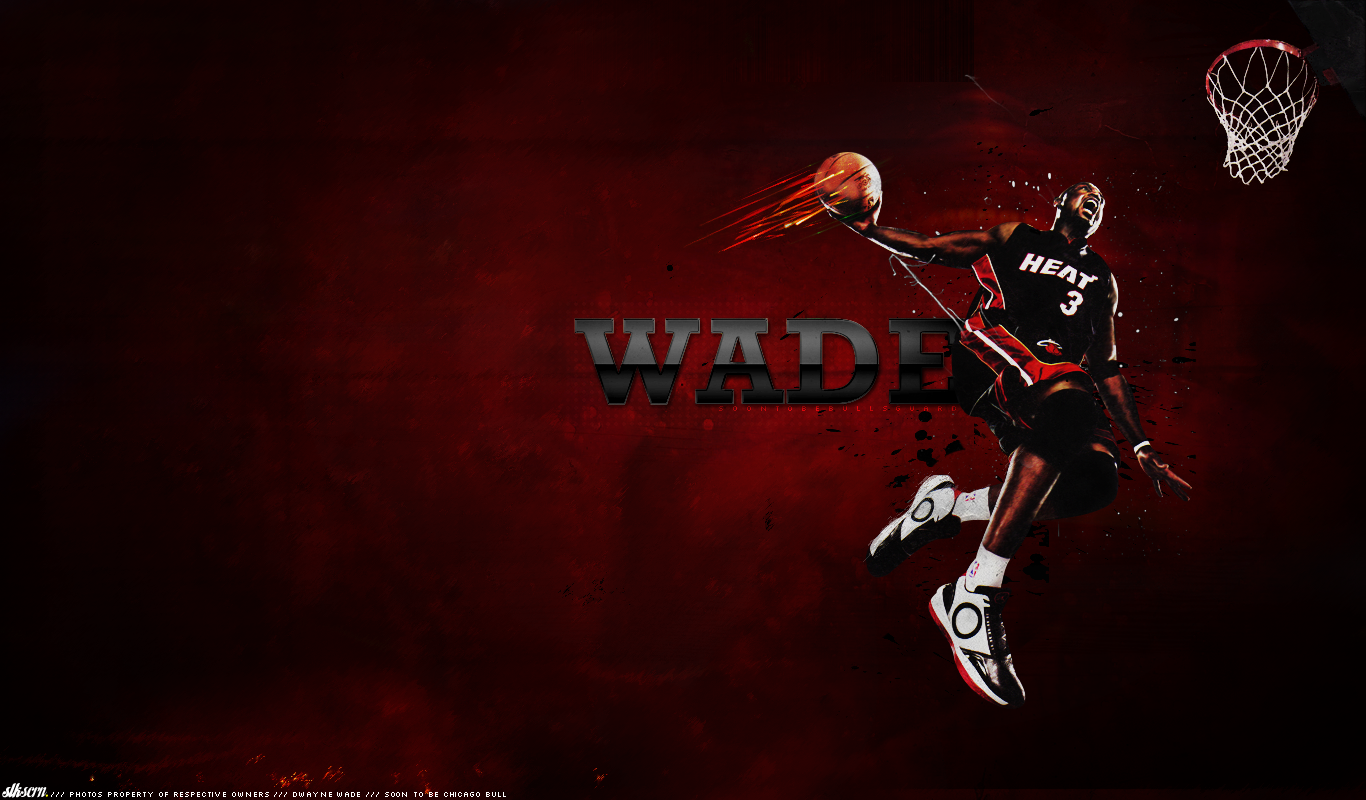 Miami Heat Sports Image