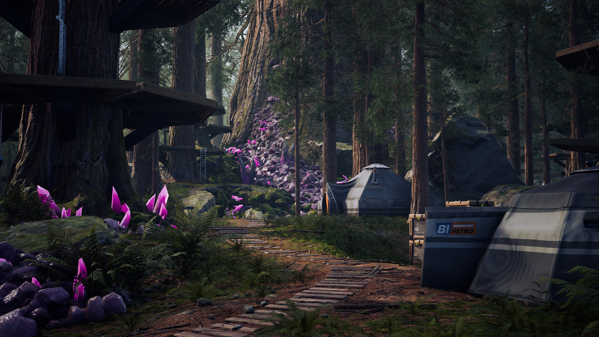 Leap Picture - Image Abyss