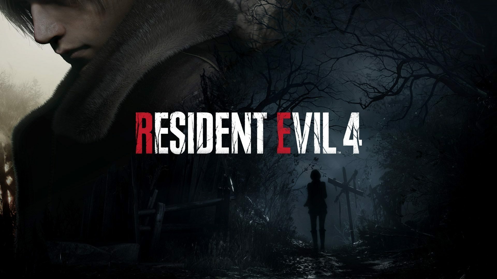 video game Resident Evil 4 Image