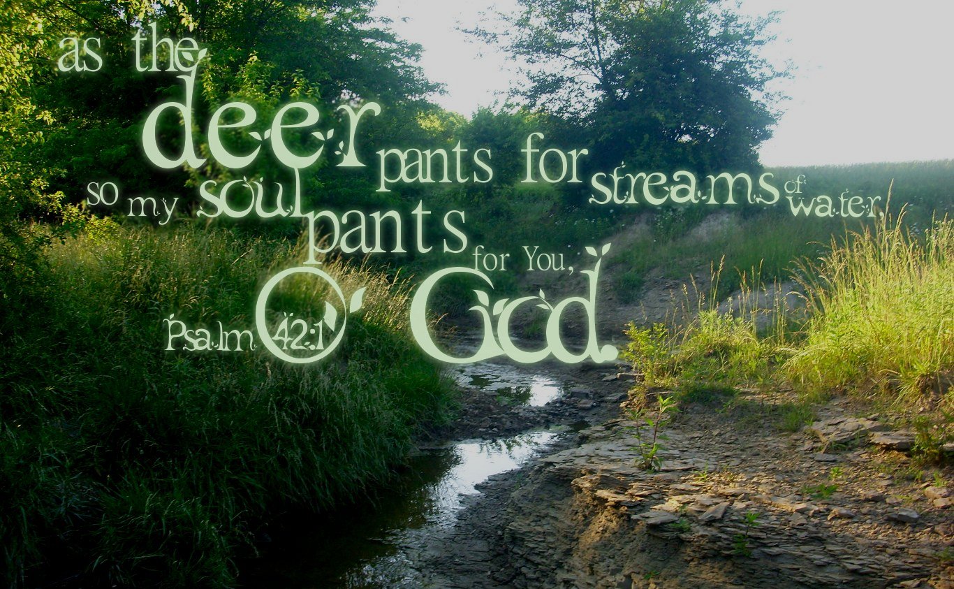 Psalm 42 1 By ElizabethLiberty1 Image Abyss