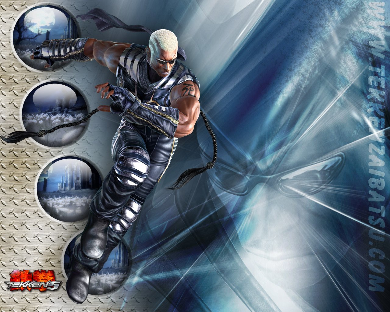 Raven (Tekken) video game Tekken 5 Image
