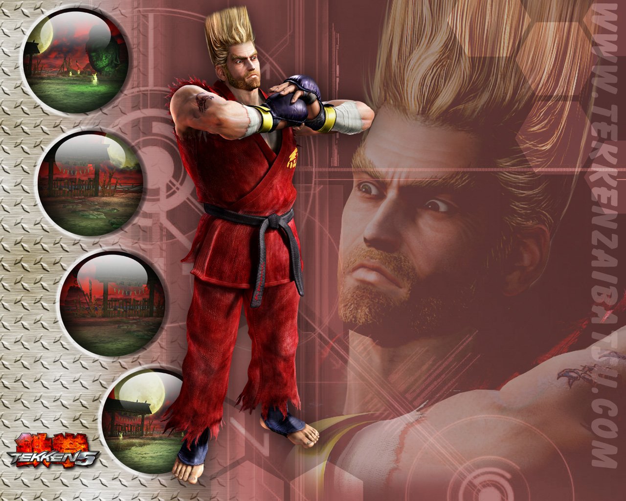 Paul Phoenix video game Tekken 5 Image