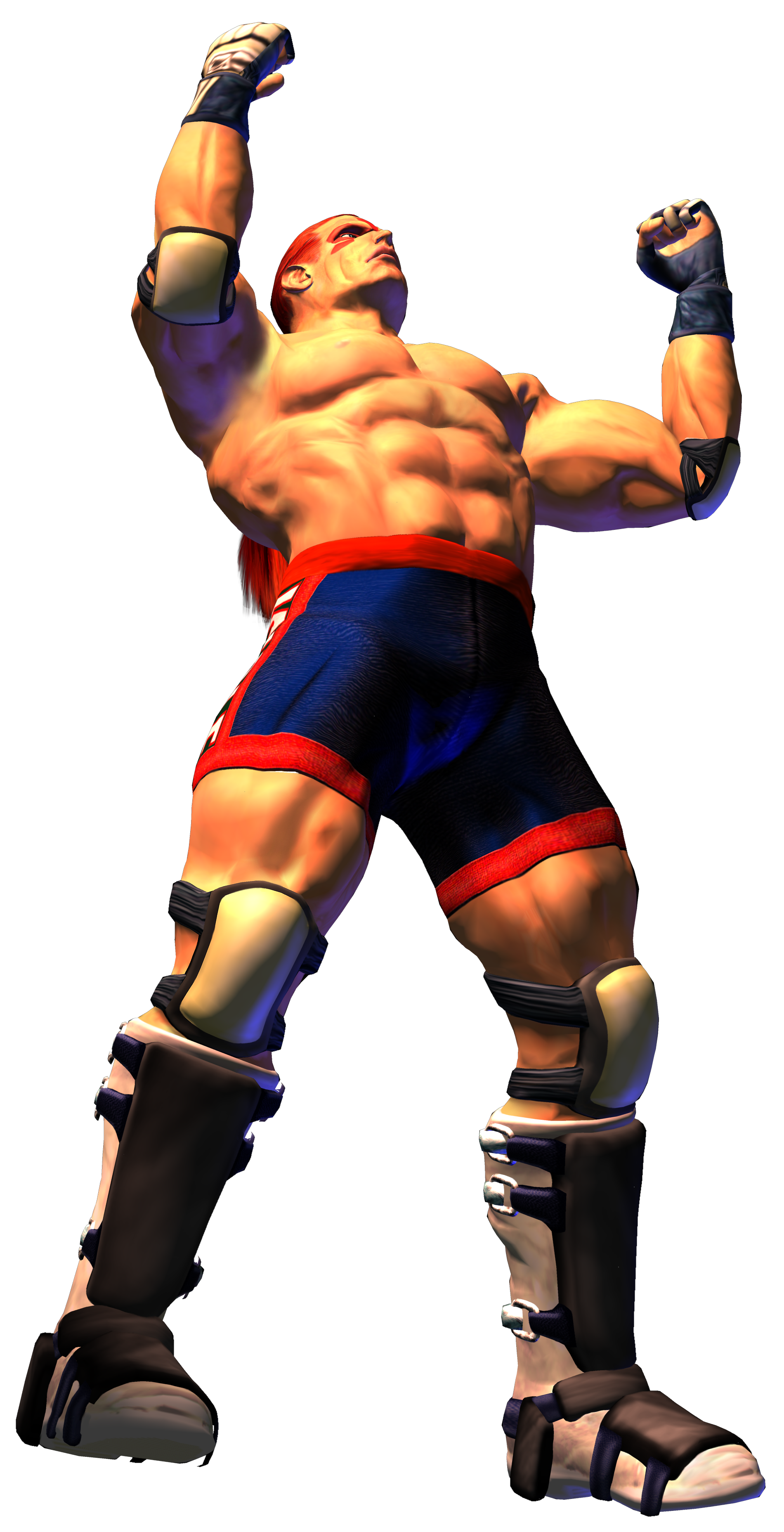 Wolf Hawkfield video game Virtua Fighter 4 Image