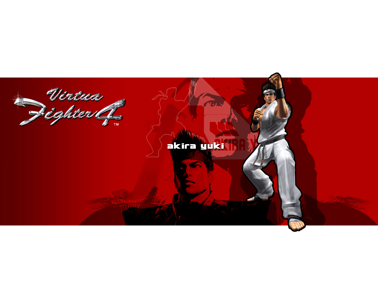 Akira Yuki video game Virtua Fighter 4 Image