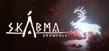video game Skabma - Snowfall Image