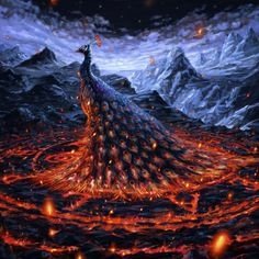 fantasy peacock Image