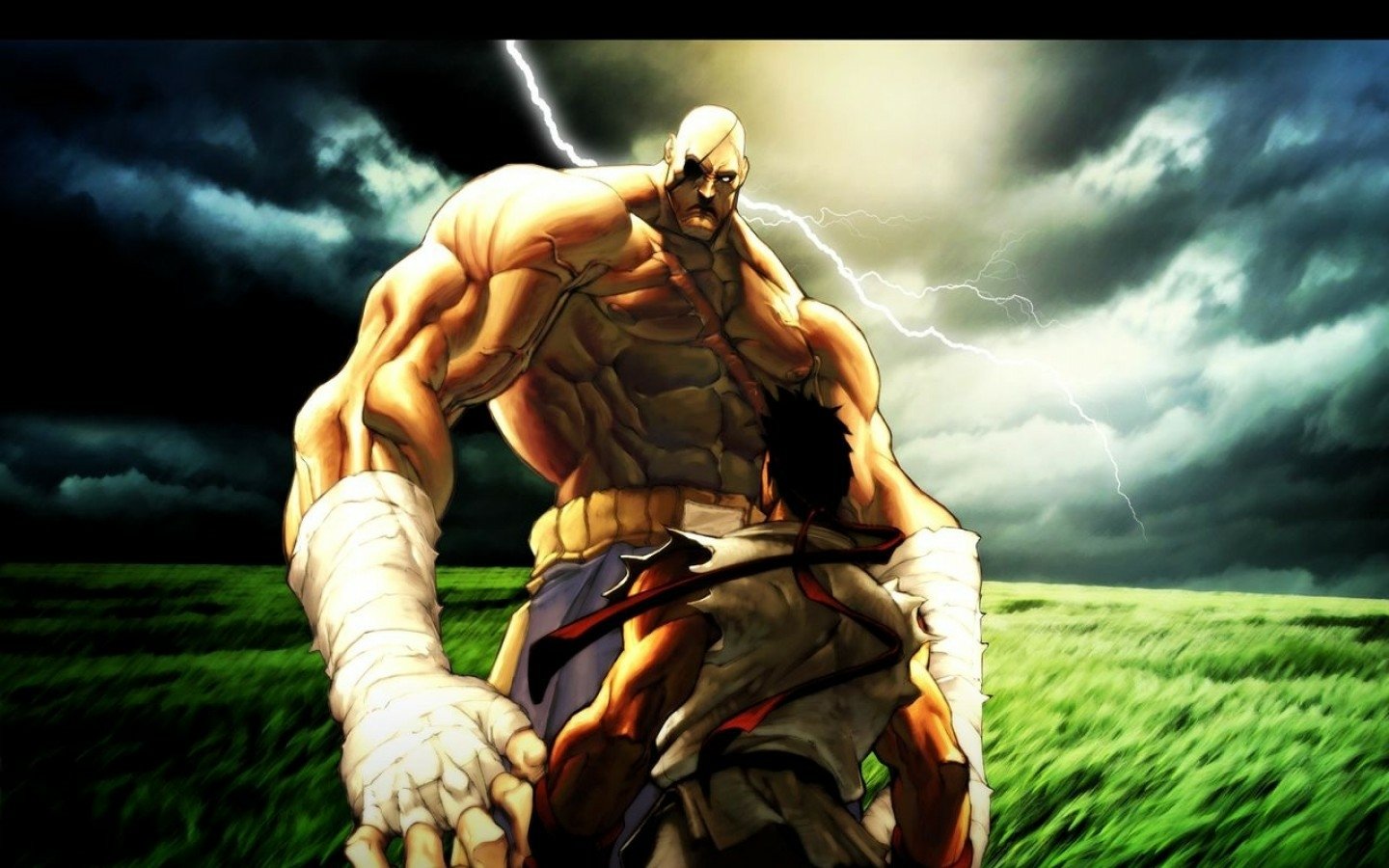 A powerful character from the Street Fighter video game stands towering over a smaller opponent in a stormy, lightning-filled field.